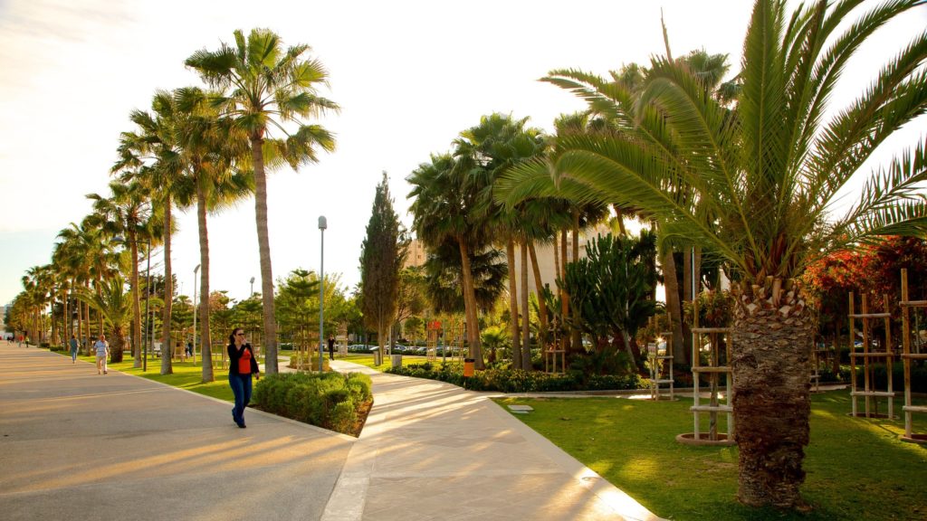 72606-Limassol